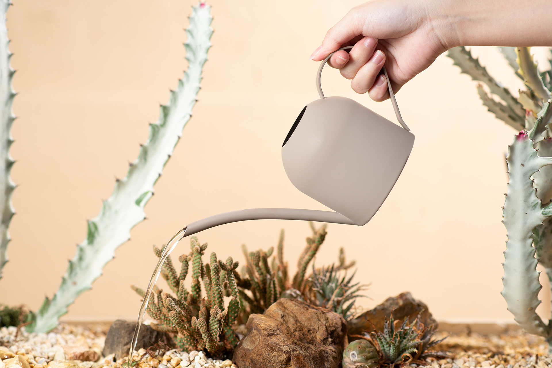 室內小盆栽推薦:低維護度植物讓你更輕鬆 13 澆水器