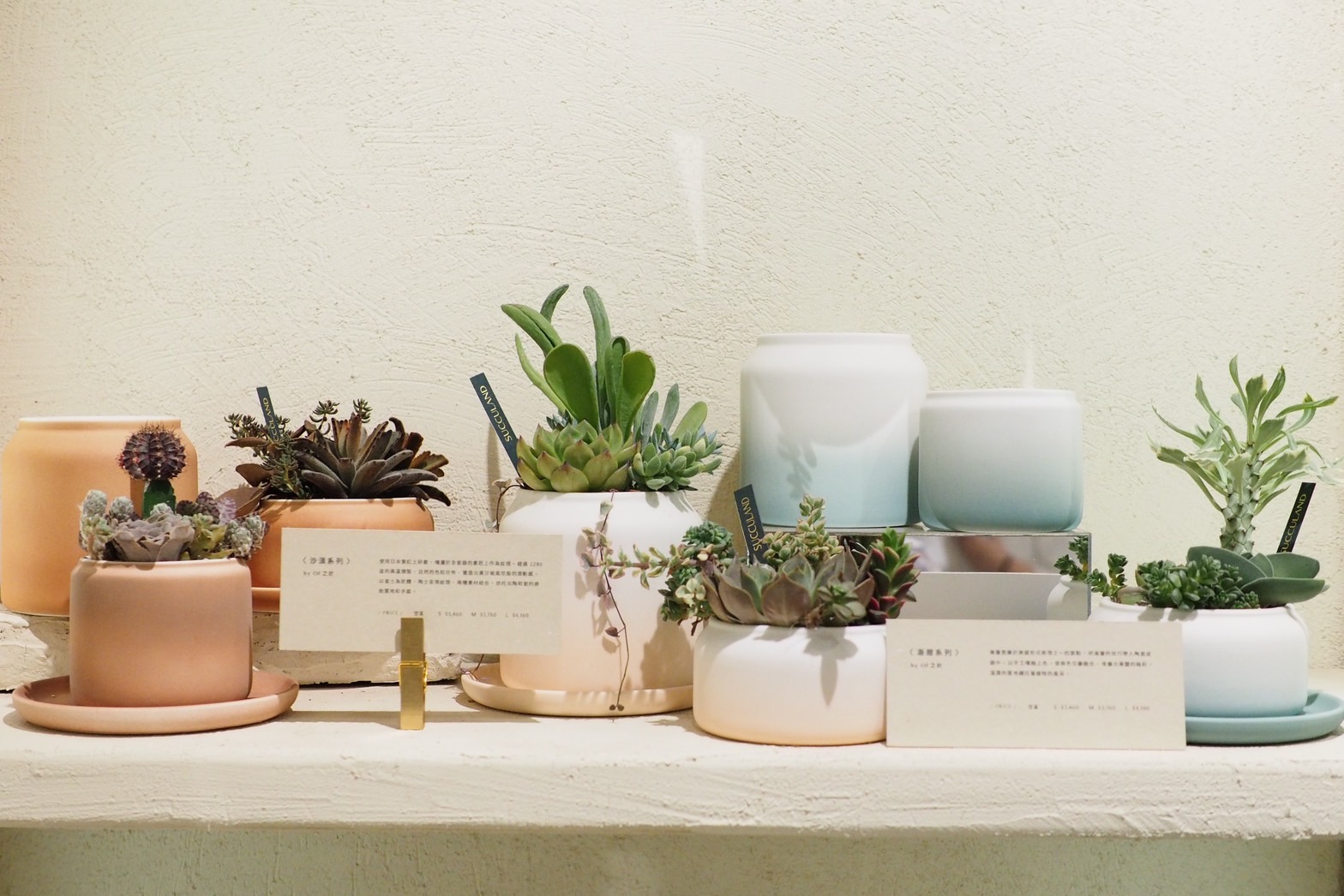 哪裡買陶盆?8 款高品質台灣陶盆!獨立製陶師作品 11 哪裡買陶盆?8 款高品質台灣陶盆!獨立製陶師作品 有肉SUCCULAND七週年慶門市陳列11 1
