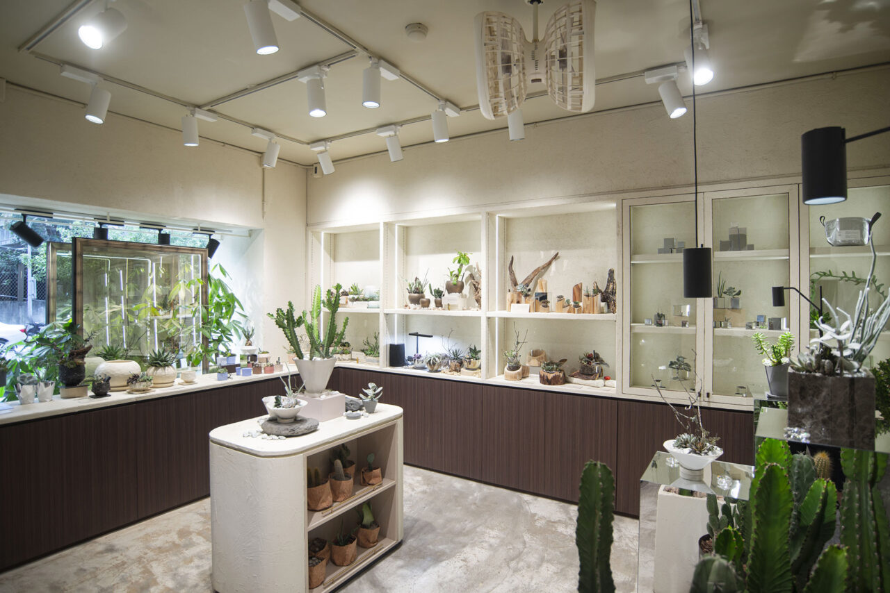 有肉SUCCULAND七週年慶門市陳列18