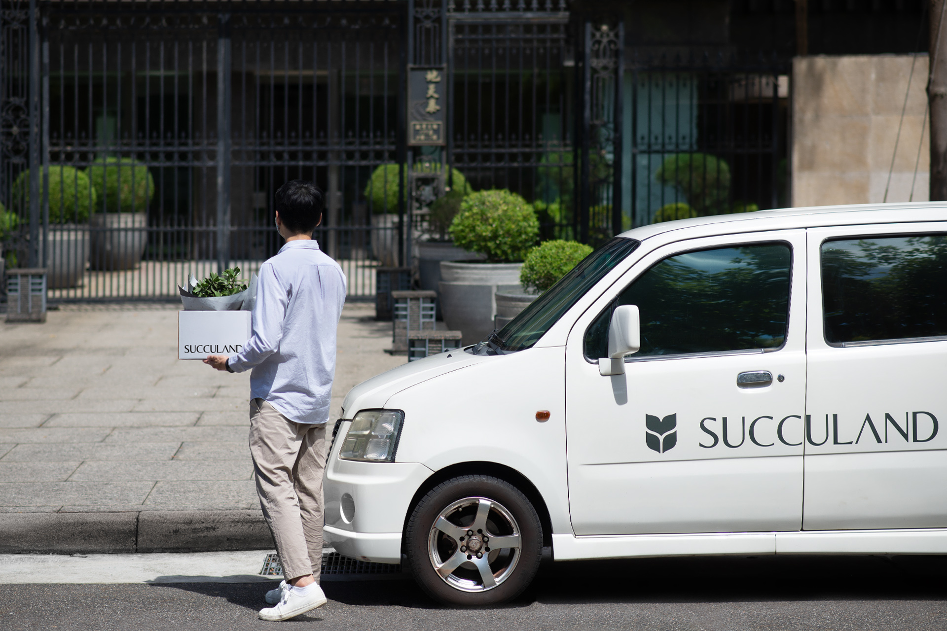 2025 春節禮盒送福蛇!造型植栽滿春意 7 植物宅配安心購買