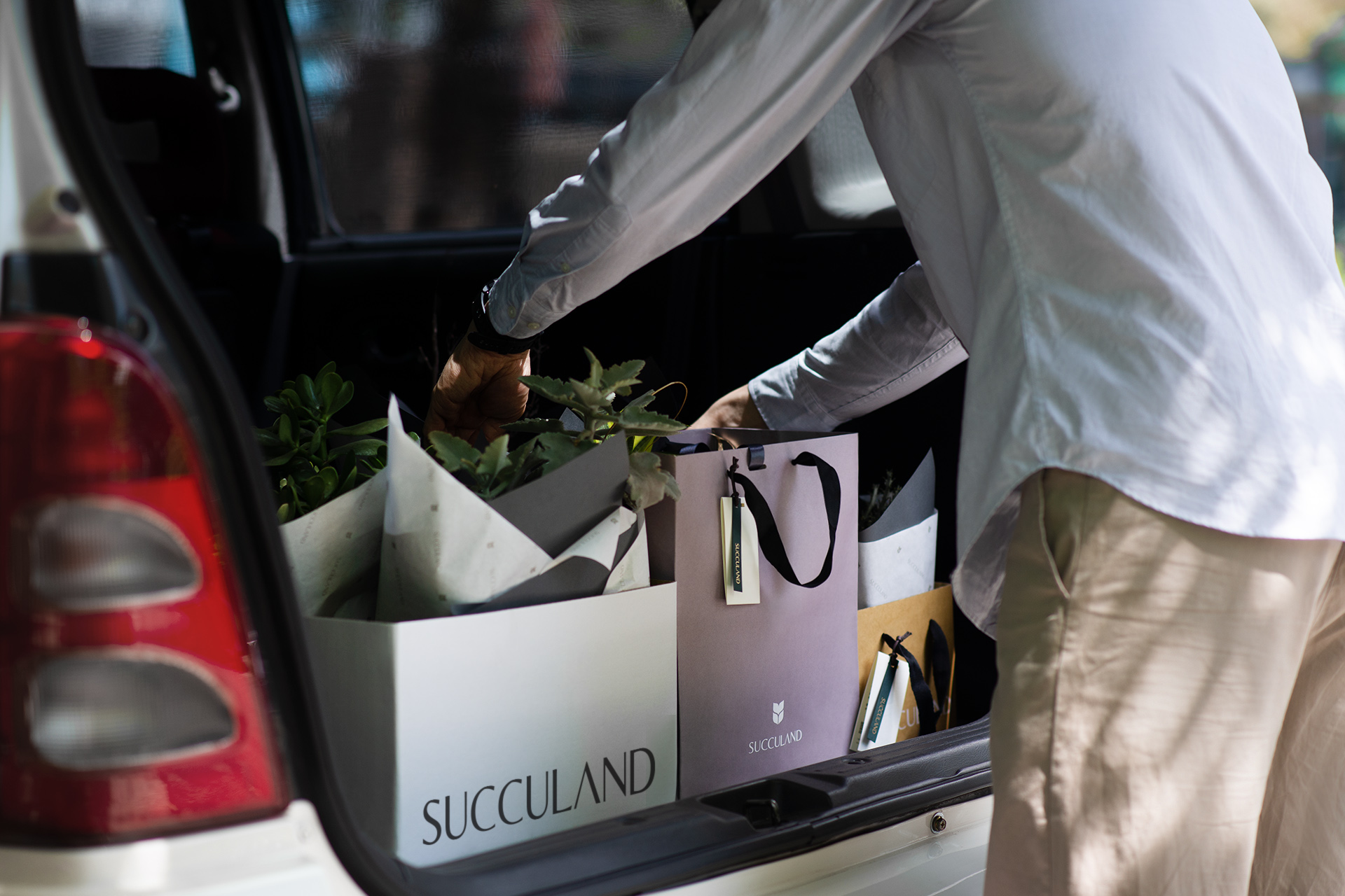 朋友生日禮物送什麼? 珍貴的心意 以植為禮 16 展覽送禮