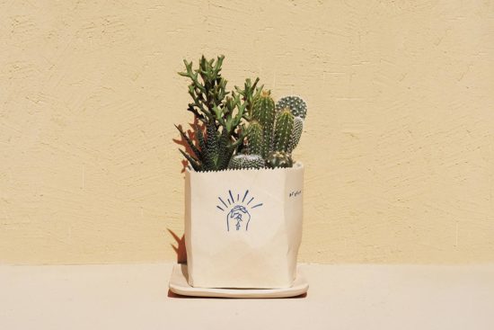 多肉植物專用土介紹 17 多肉植物專用土介紹 有肉SUCCULAND門市導覽4