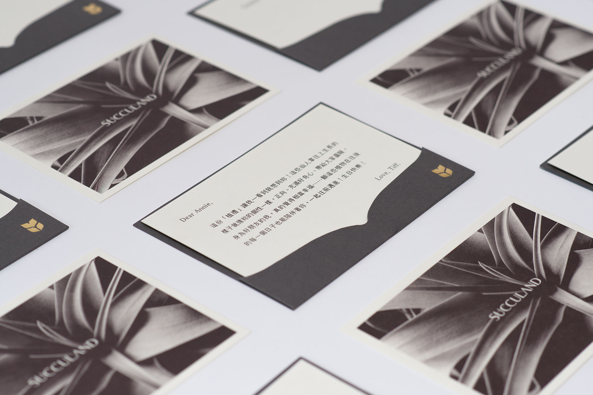 朋友生日禮物送什麼? 珍貴的心意 以植為禮 14 朋友生日禮物送什麼? 珍貴的心意 以植為禮 有質感的生日卡片,有肉SUCCULAND1