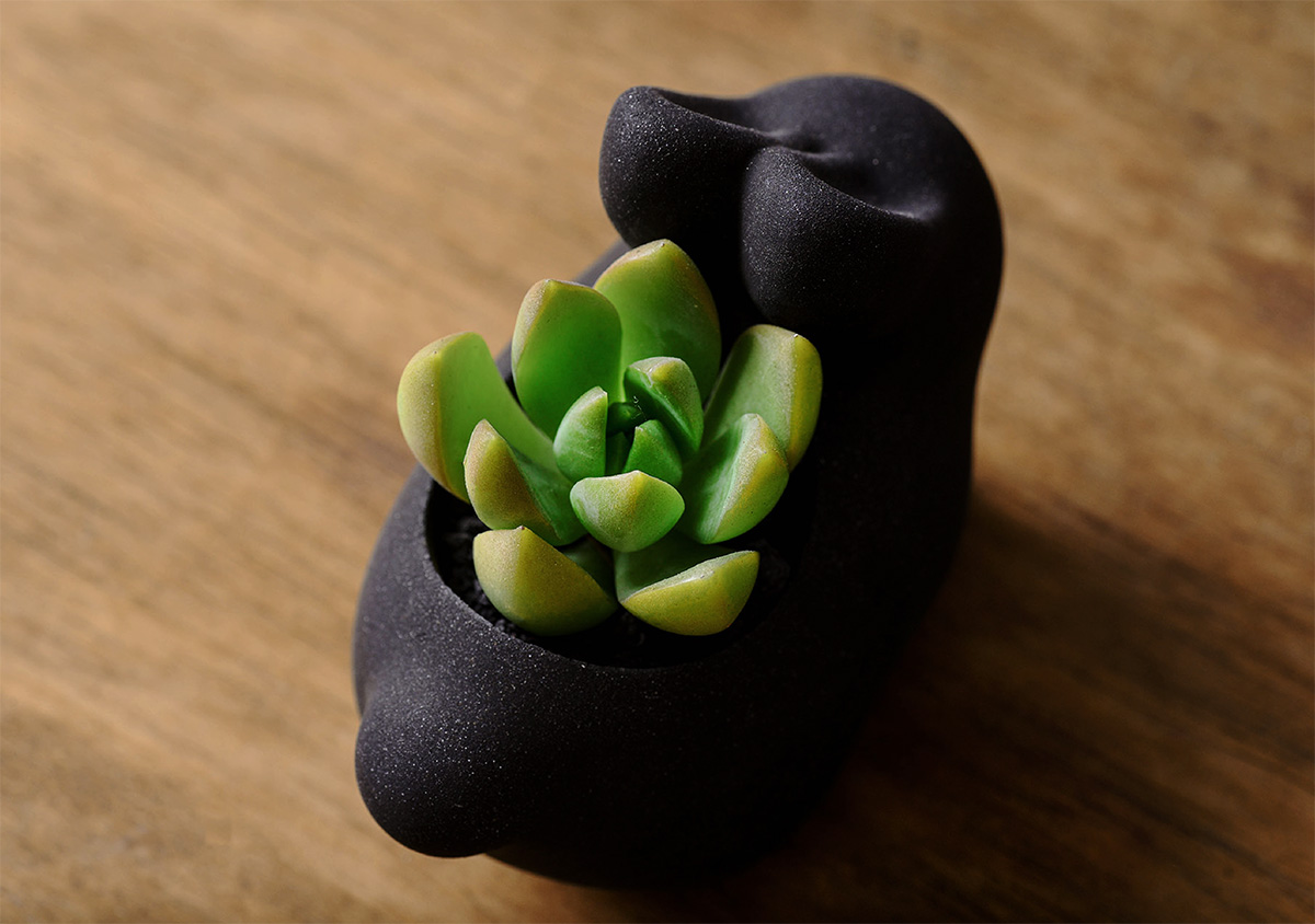 2021 年中秋植物禮盒 24 2021 年中秋植物禮盒 服務 27