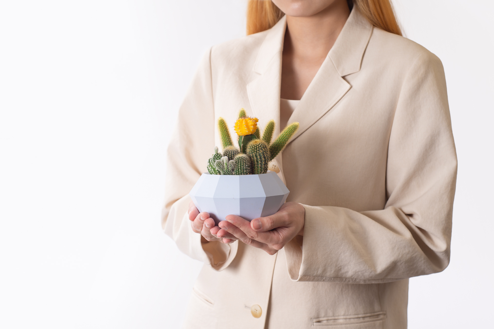 朋友生日禮物送什麼? 珍貴的心意 以植為禮 4 黃金鳳梨禮物