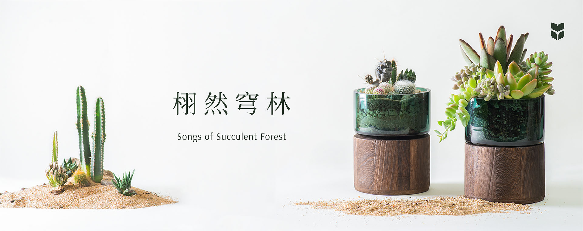 企業活動課程總覽 栩然穹林 Songs of Succulent Forest Banner 工作區域 12 拷貝