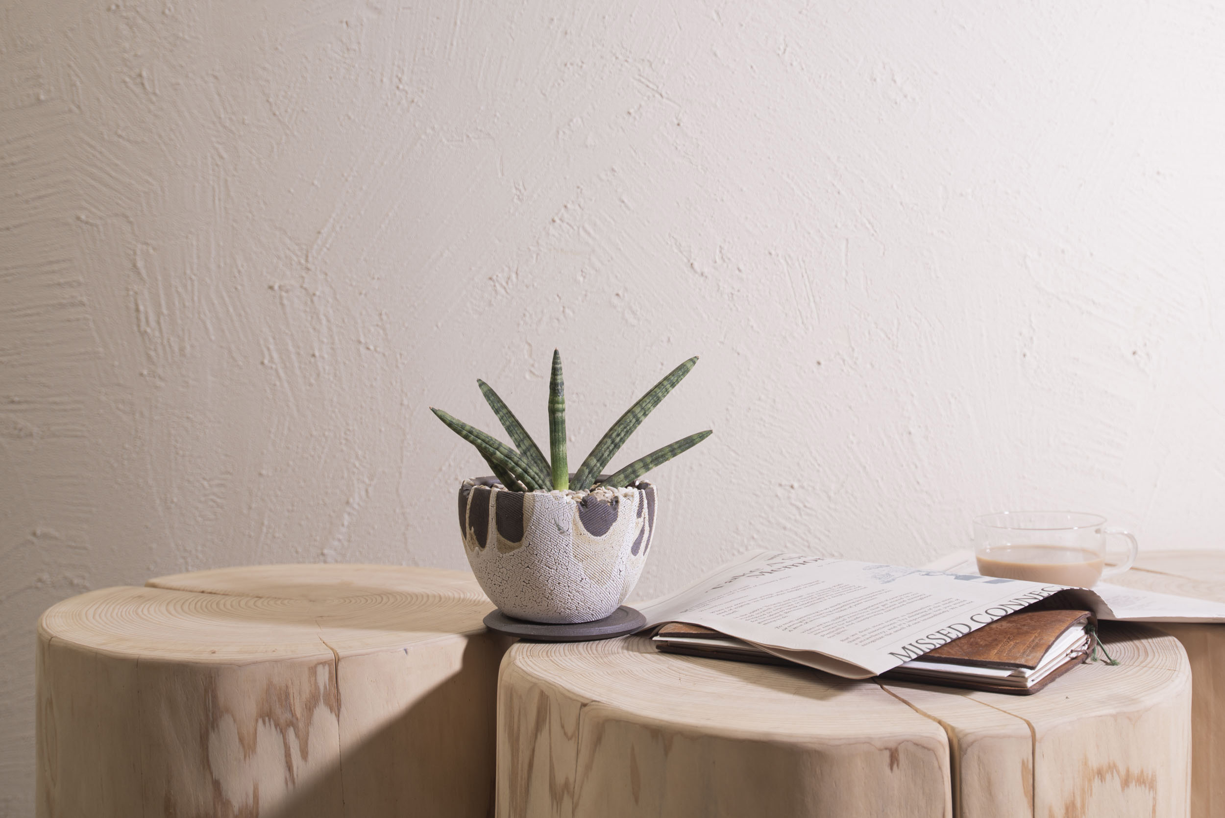 朋友生日禮物送什麼? 珍貴的心意 以植為禮 3 虎尾蘭在書桌上