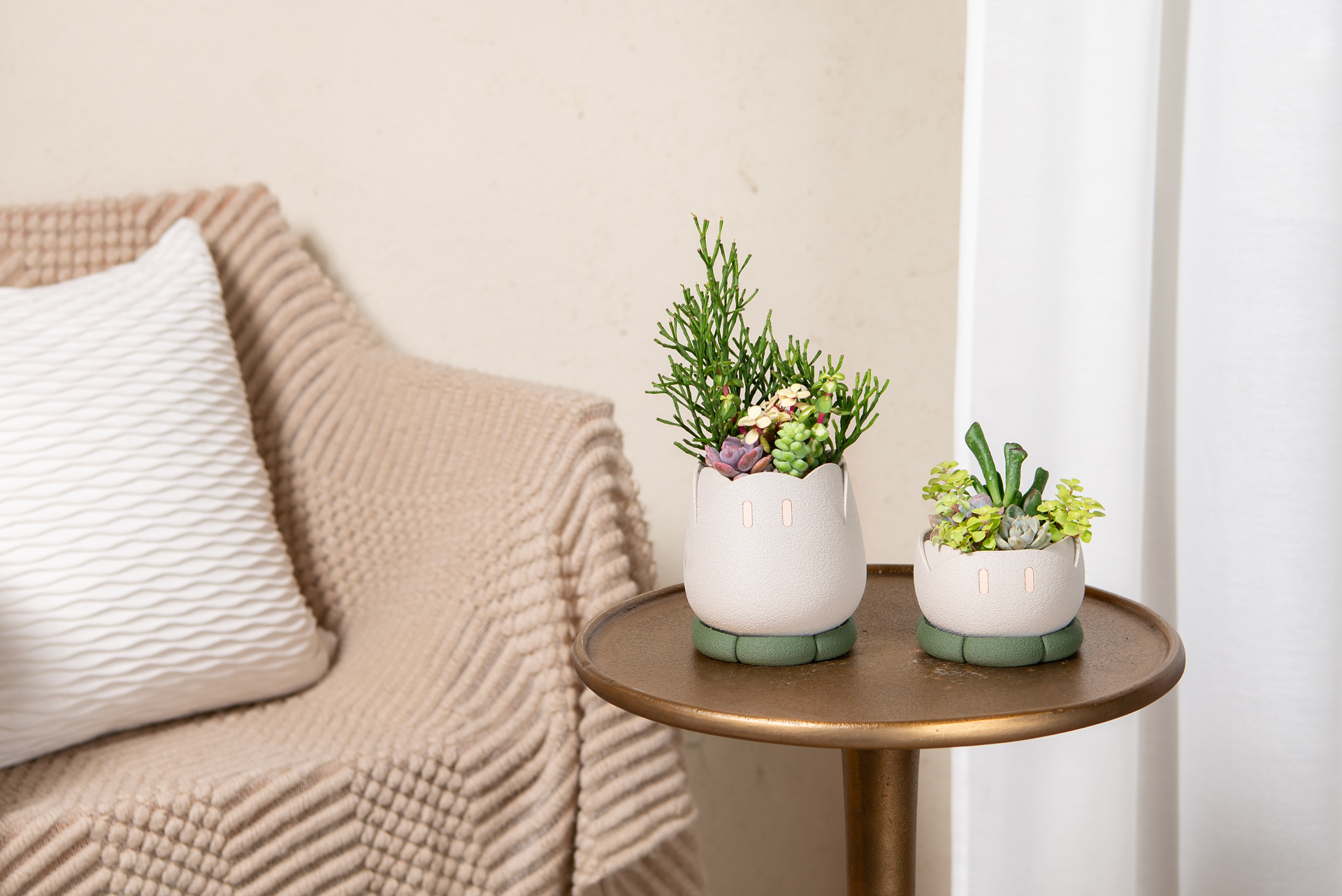 植人＿淺灰emoo_TALL＋MINI＿ワクワク_室內盆景