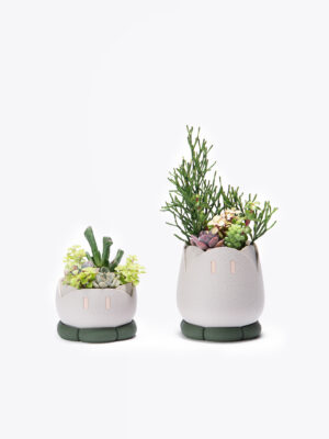 ワクワク（Waku Waku）