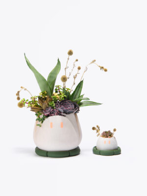 ドキドキ（Dokidoki）