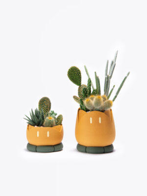 キラキラ（Kirakira）