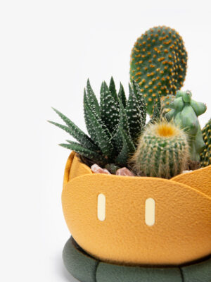 キラキラ（Kirakira）