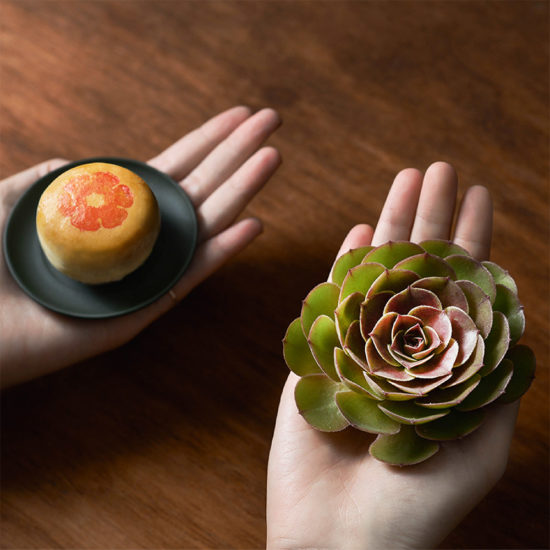 2021 年中秋植物禮盒 20 2021 年中秋植物禮盒 植物介紹圖 28