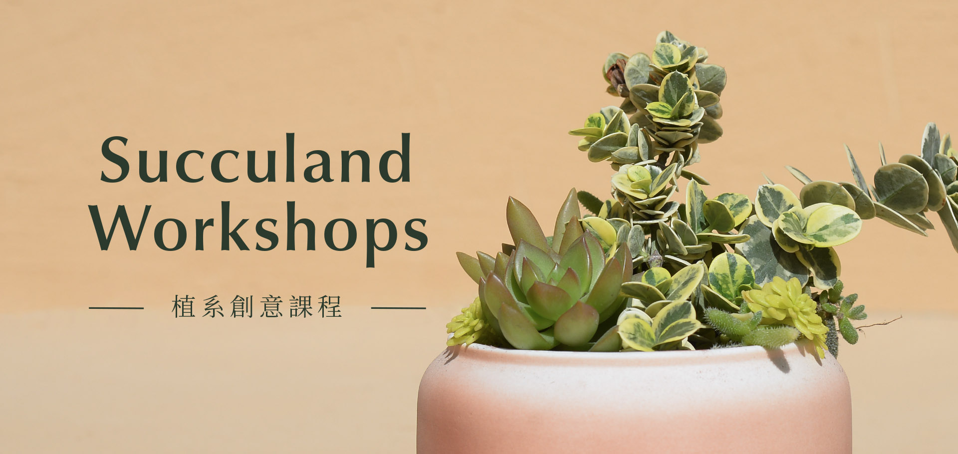 [ 多肉組盆 ] 植藝團隊體驗 - Team Building %E6%A4%8D%E7%B3%BB%E5%89%B5%E6%84%8F%E8%AA%B2%E7%A8%8B