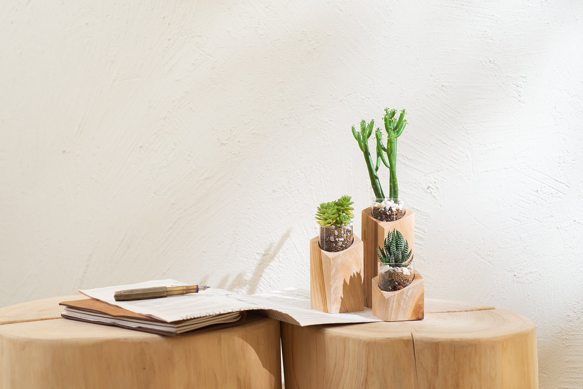 室內小盆栽推薦:低維護度植物讓你更輕鬆 12 玻璃小盆栽