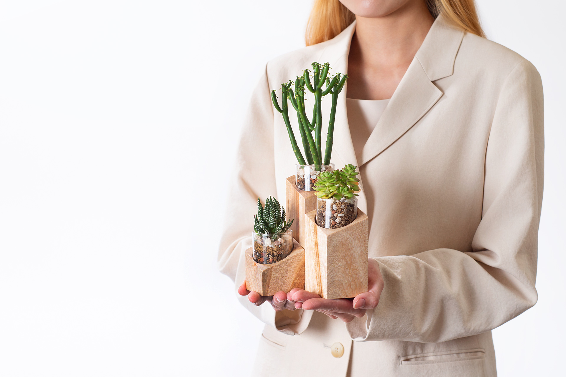 40+ 句換新工作的祝福語(成語 聖經金句 佛家語錄 英文 日文) 2 新工作新公司新座位佈置