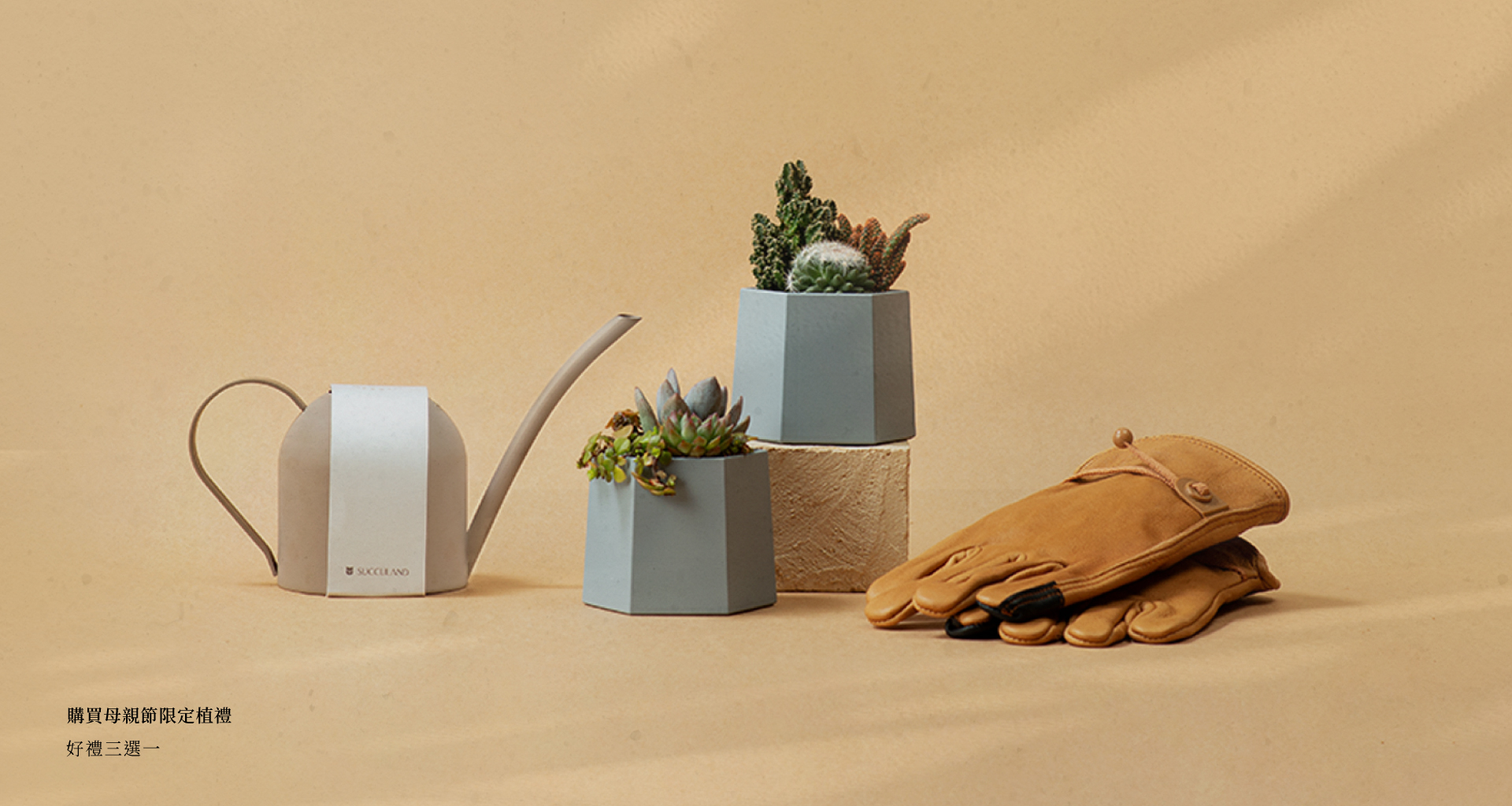 母親節送花草植物給媽媽,卡片怎麼寫?20+ 句美言提供給你 2 母親節送花草植物給媽媽,卡片怎麼寫?20+ 句美言提供給你 母親節促購活動banner01