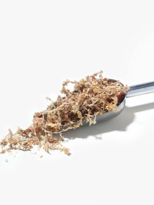 多肉植物專用介質－水苔