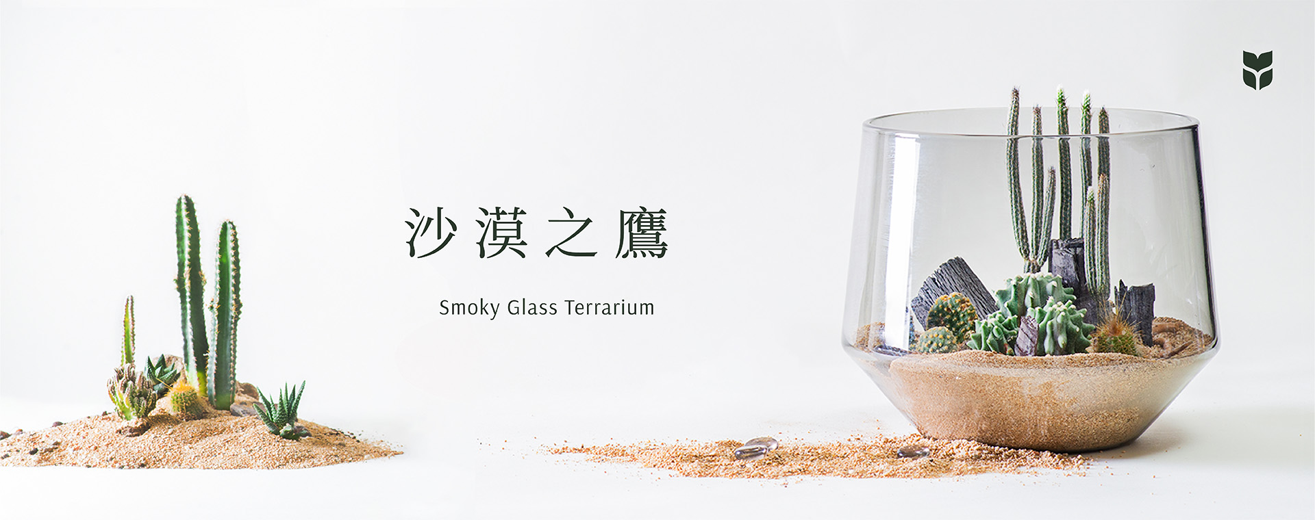 企業活動課程總覽 沙漠之鷹 Smoky Glass Terrarium Banner 工作區域 1