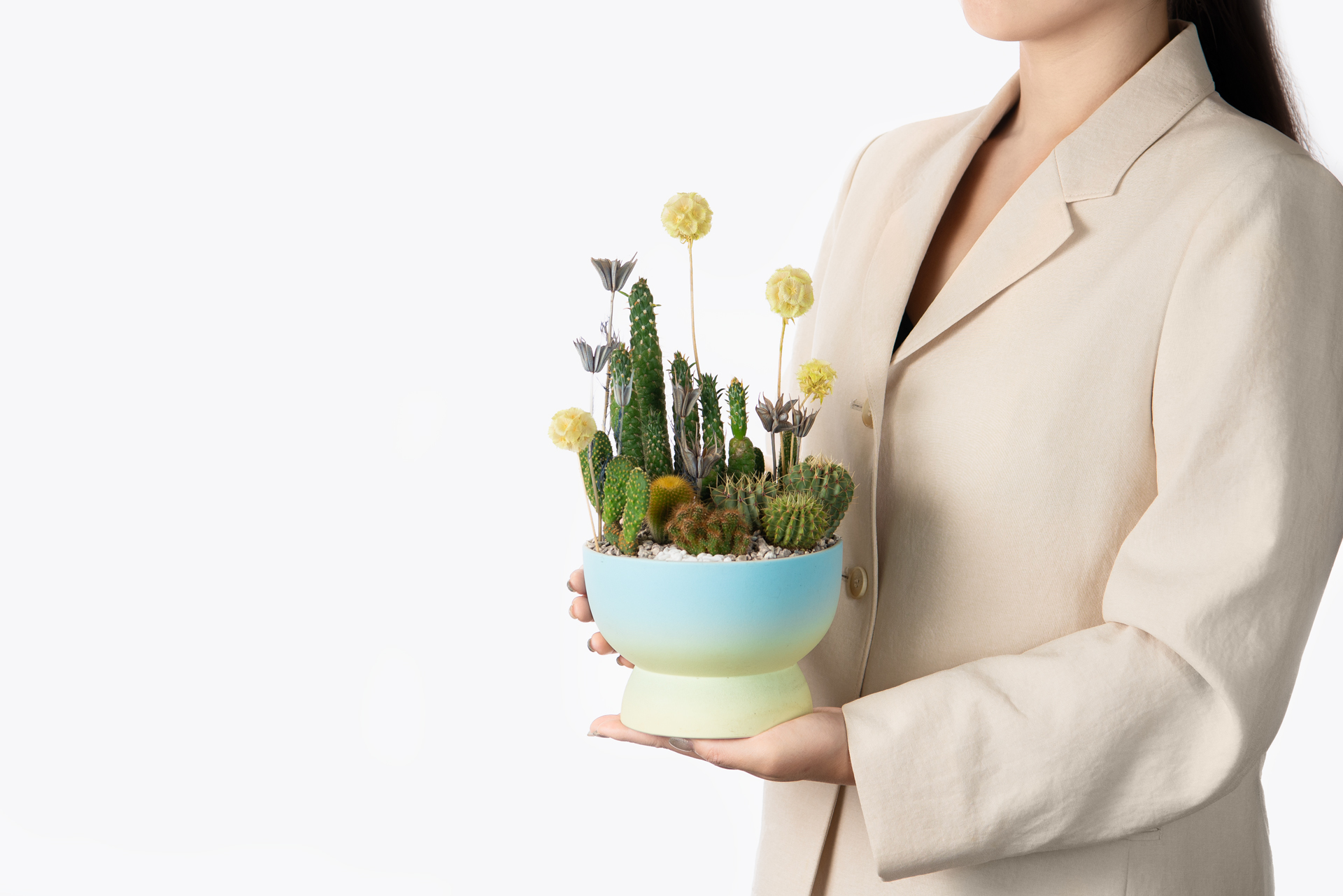 哪裡買陶盆?8 款高品質台灣陶盆!獨立製陶師作品 6 漸彩青翠_of_雙色漸層_手捧禮物