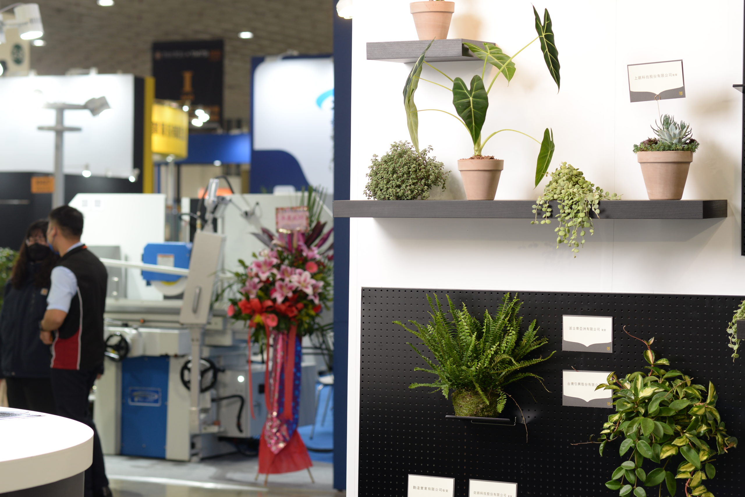祝賀展覽順利 盆栽花籃怎麼挑選好? 2 展覽祝賀規劃
