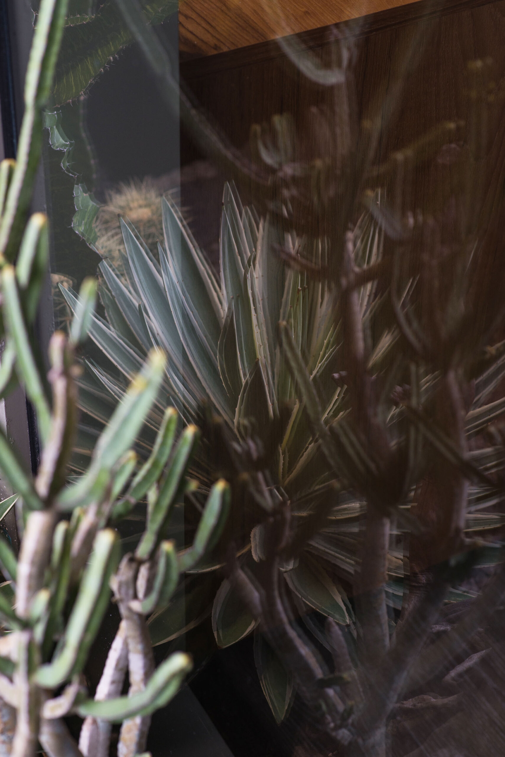 質感陽台改造 深度療癒招待所 7 質感陽台改造 深度療癒招待所 私人招待會所 質感綠景陽台設計8 scaled