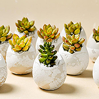 端午拍攝-15 200x200 端午拍攝-15 200x200