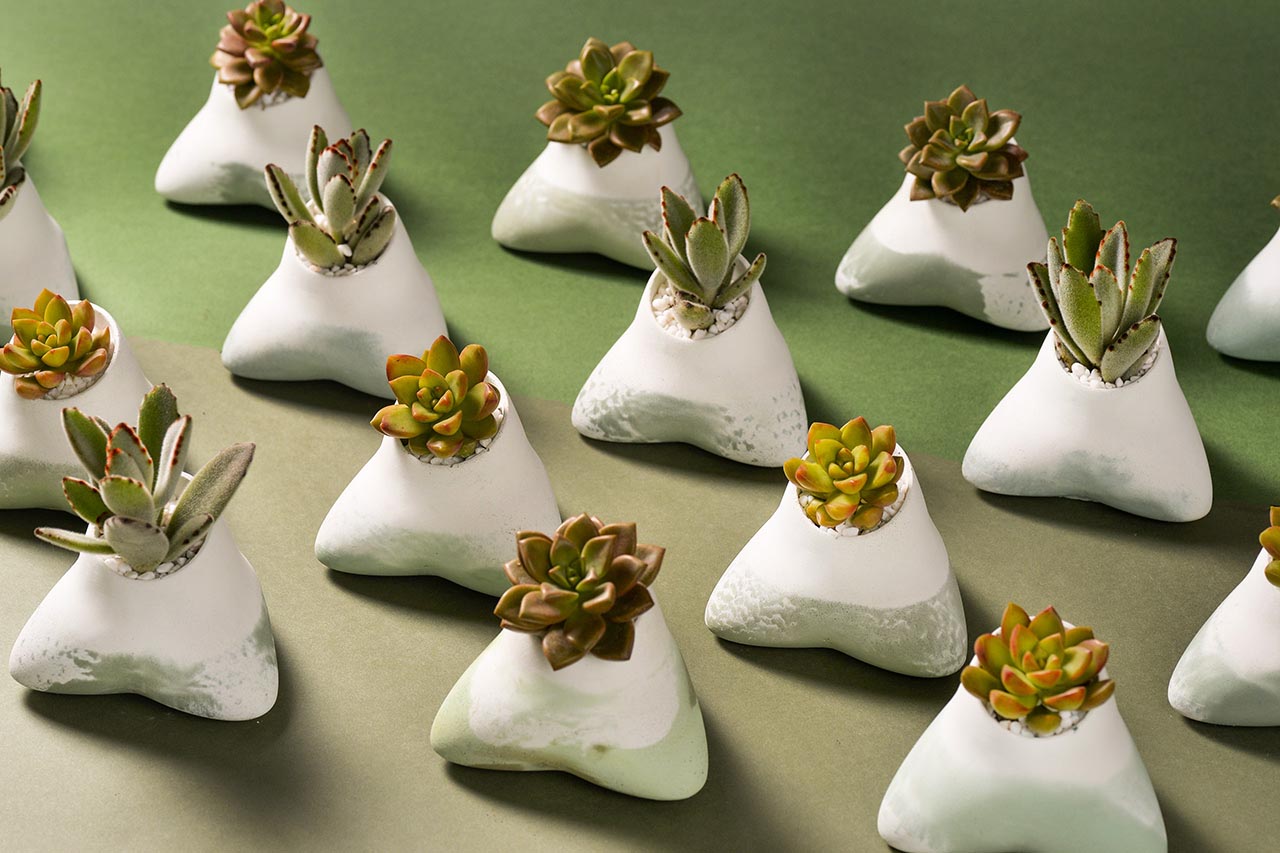 2021 年端午植物禮盒 16 粽子禮盒推薦