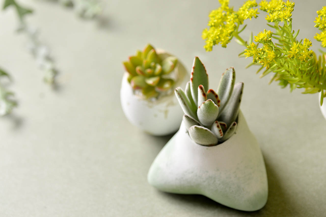 創意員工福利提案:以綠植與舒壓活動提升幸福感 13 創意禮盒