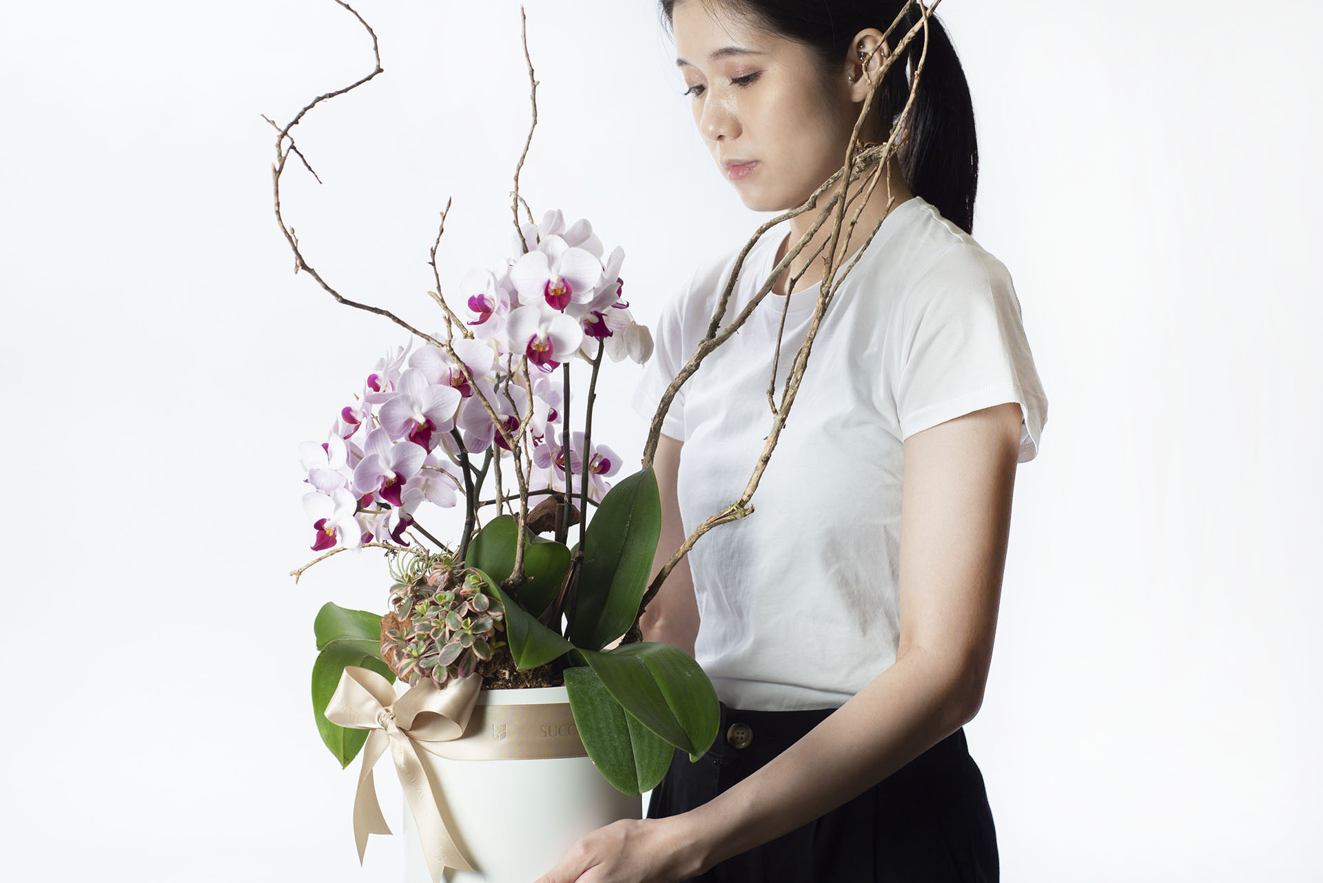 40+ 句換新工作的祝福語(成語 聖經金句 佛家語錄 英文 日文) 13 蘭花盆栽祝福工作