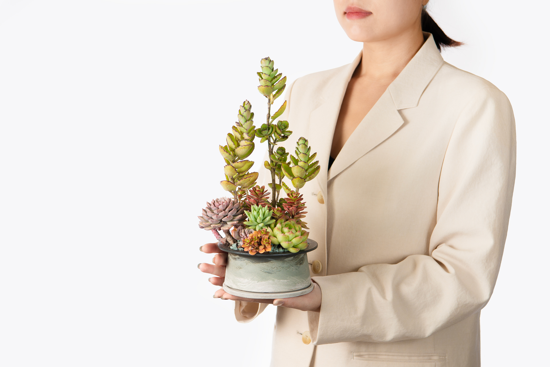 哪裡買陶盆?8 款高品質台灣陶盆!獨立製陶師作品 1 築夢生機_陶室_波土質_手捧植栽