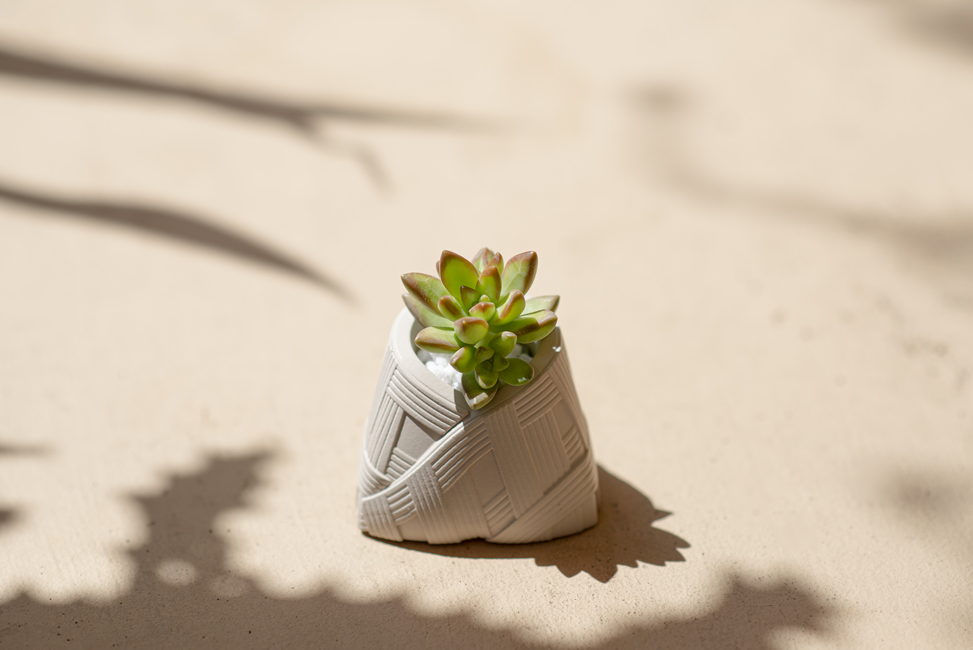 Go Green! 8 個企業禮品常見問題:交期、發票、價格一次全看懂 5 Go Green! 8 個企業禮品常見問題:交期、發票、價格一次全看懂 米白粽_端午節