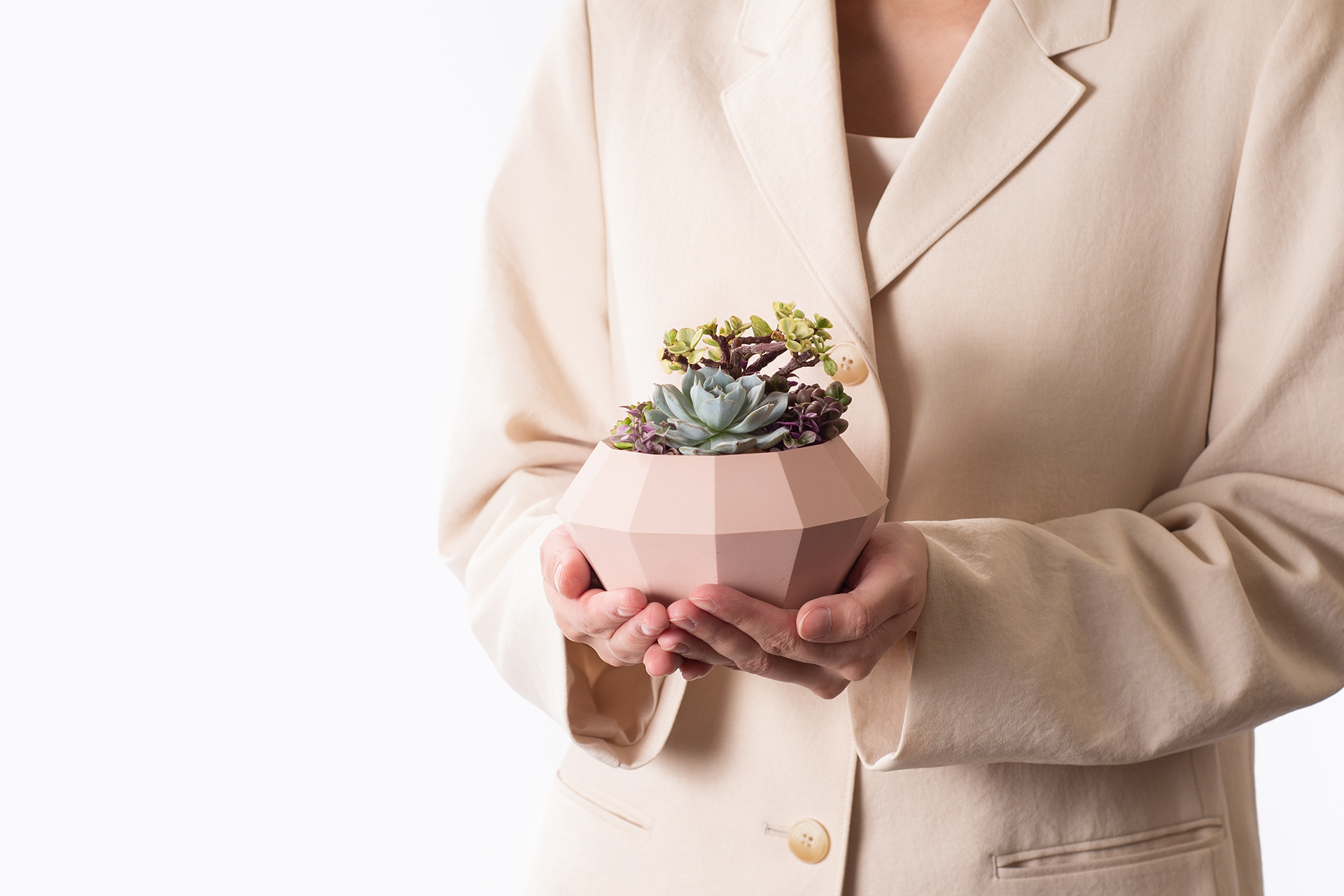 網路訂花禮盆栽，這 5 點都做到更圓滿 粉粉嫩嫩的多肉盆栽，居家綠植的選擇1