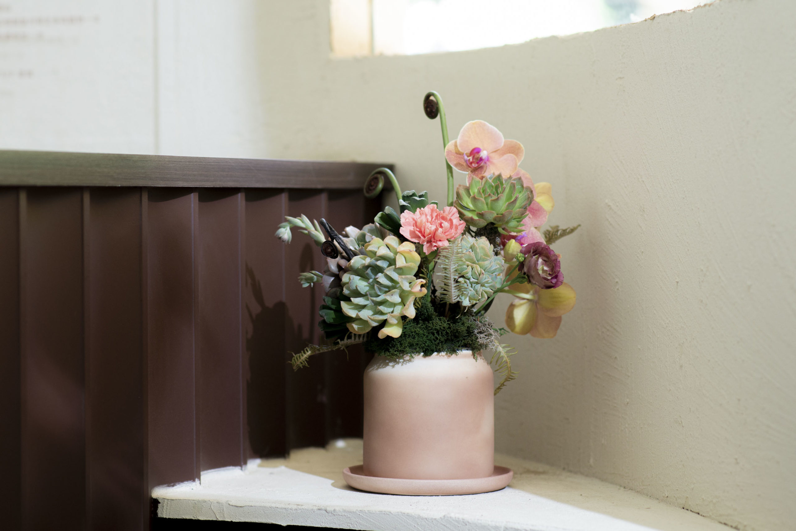 祝賀展覽順利 盆栽花籃怎麼挑選好? 3 輕舞飛揚 SUCCULAND1 scaled