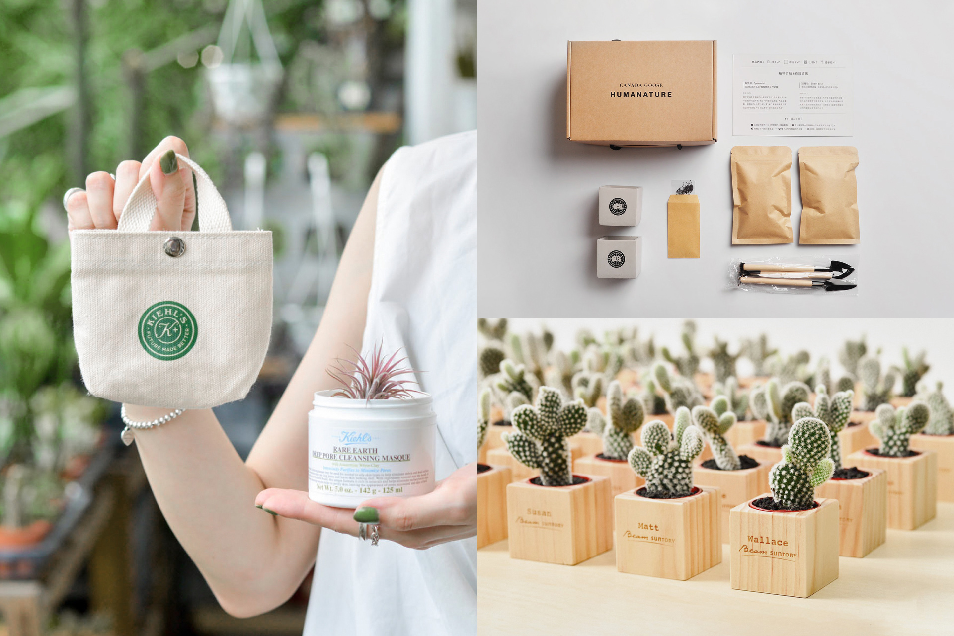 植樹節是什麼?用 2026 年的方法來過節! 3 綠色禮物案例