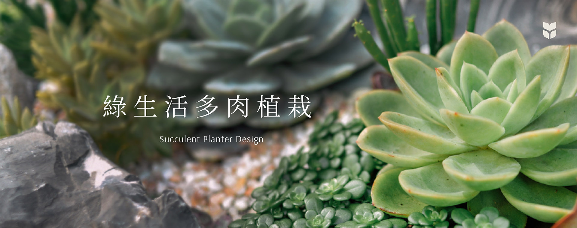企業活動 11 綠生活多肉植栽_企業包班團體課