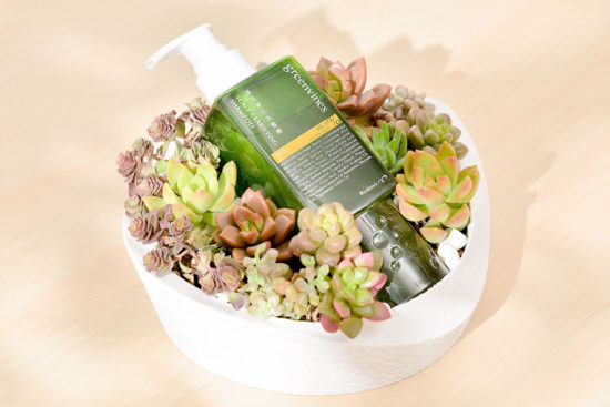 2024 七夕情人節送多肉花禮盒,療癒陪伴一整年 3 2024 七夕情人節送多肉花禮盒,療癒陪伴一整年 網路花店 綠藤盆 01