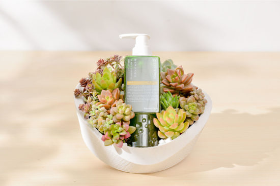 2024 七夕情人節送多肉花禮盒,療癒陪伴一整年 2 2024 七夕情人節送多肉花禮盒,療癒陪伴一整年 網路花店 綠藤盆 03