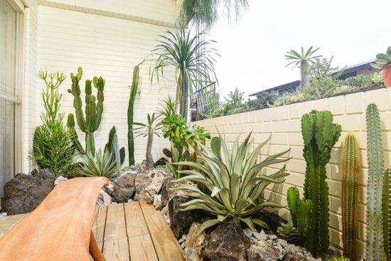 陽台植物佈置造景 - 宜蘭謝公館 3 陽台植物佈置造景 - 宜蘭謝公館 老公寓陽台大改造4