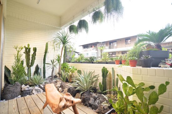 陽台植物佈置造景 - 宜蘭謝公館 2 陽台植物佈置造景 - 宜蘭謝公館 老公寓陽台大改造7