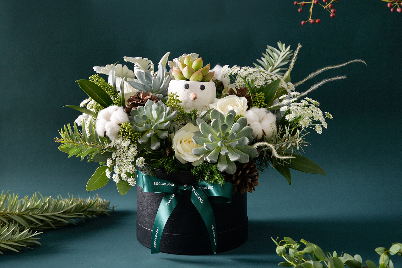 2024 七夕情人節送多肉花禮盒,療癒陪伴一整年 6 客製化多肉盆栽禮贈品 - 多肉花禮盒案例 %E8%81%96%E8%AA%95%E5%A4%9A%E8%82%89%E8%8A%B1%E7%A6%AE%E7%9B%9214