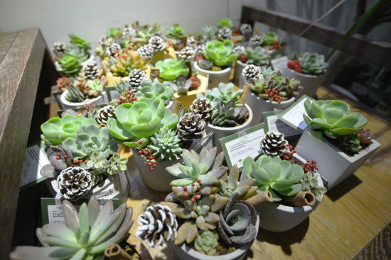 活動完成品作品陳列 活動完成品作品陳列