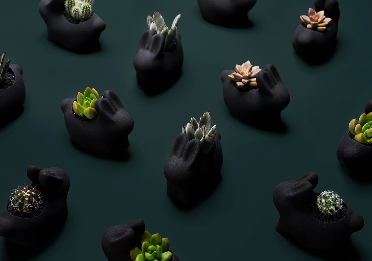 2021 年中秋植物禮盒 7 植栽禮盒照顧