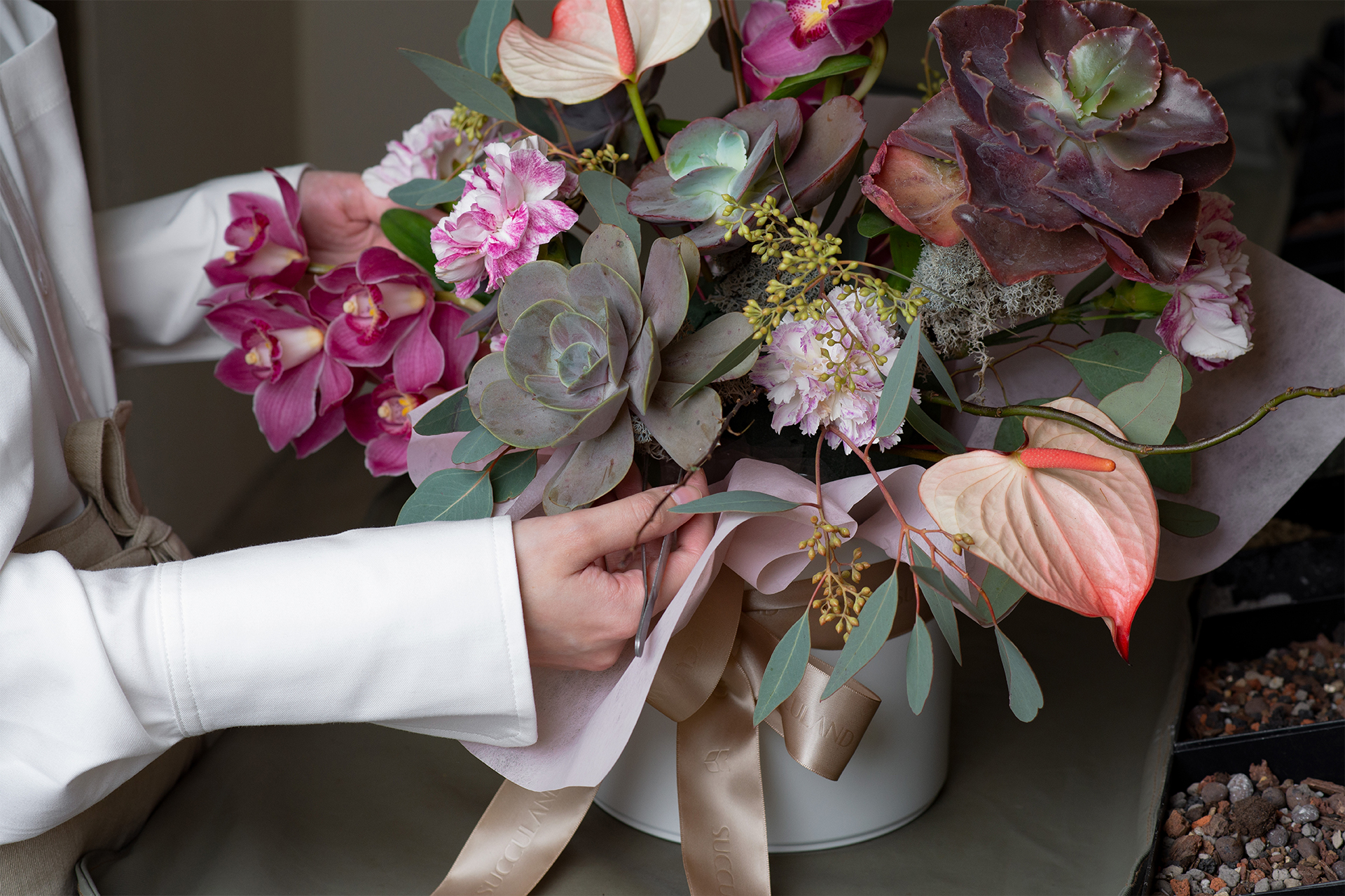 2023 母親節禮物,獻給跟你一樣喜歡植物的媽媽 15 花弄春柔 母親節花禮 多肉盆栽6