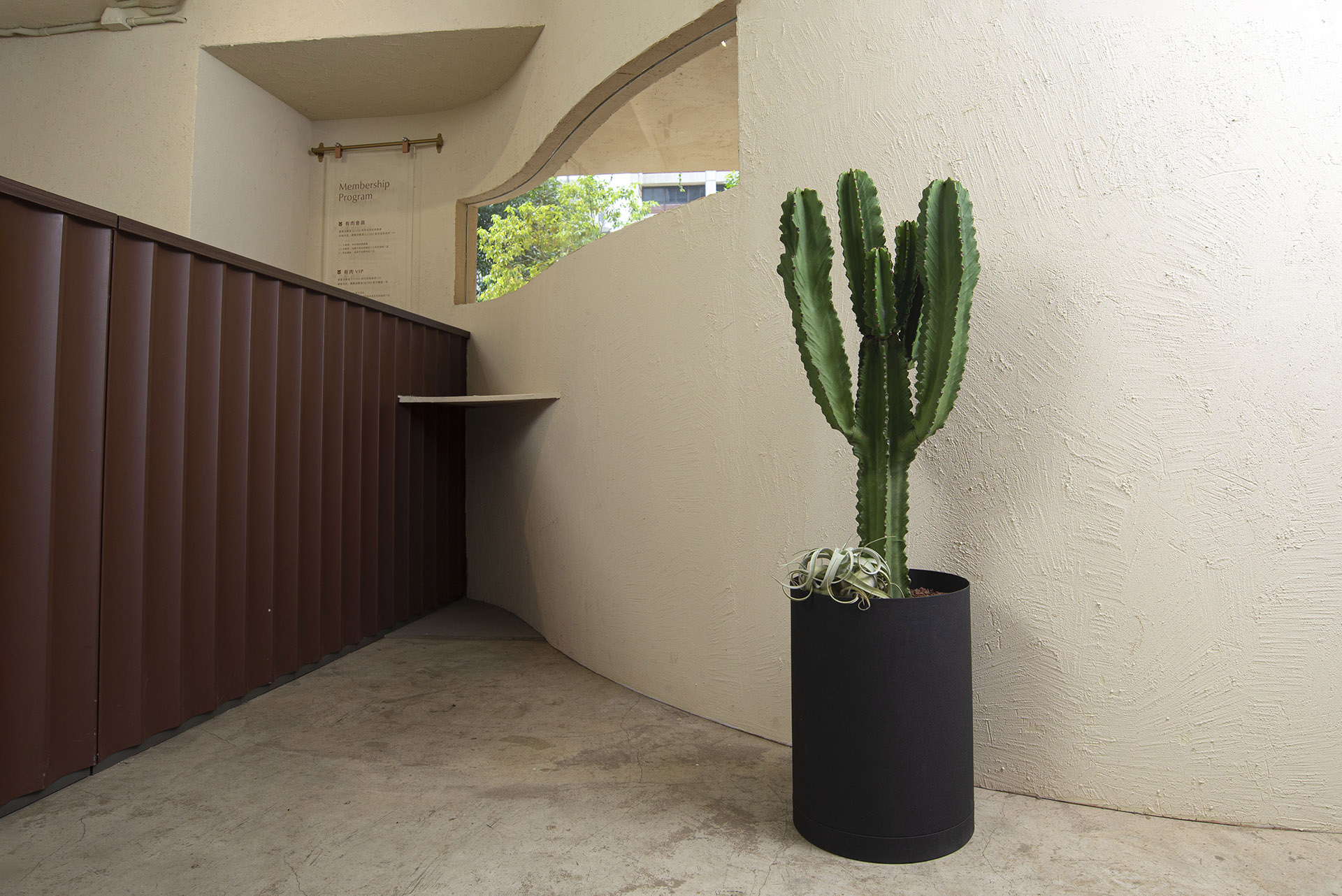 室內植物擺設 3 案例|台灣在地的造景實踐 24 室內植物擺設 3 案例|台灣在地的造景實踐 落地型上帝閣組盆 不能放室內種植的大型多肉植物52