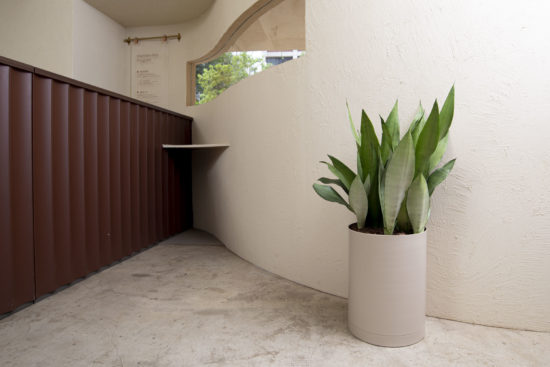 室內小盆栽推薦:低維護度植物讓你更輕鬆 3 室內小盆栽推薦:低維護度植物讓你更輕鬆 落地型銀后虎尾蘭組盆 室內植物_觀葉植物2