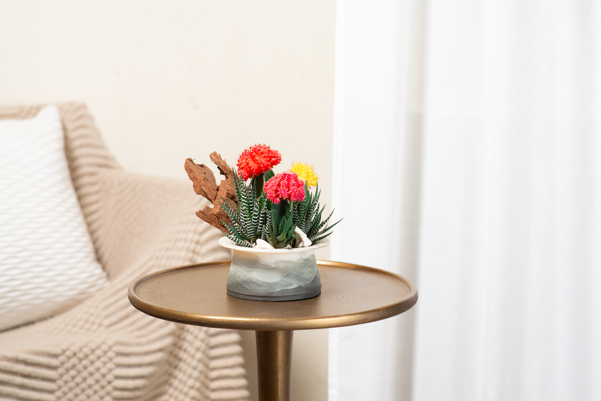 室內植物擺設 3 案例|台灣在地的造景實踐 21 蓊然生姿_陶室_波土質2024_室內拍攝