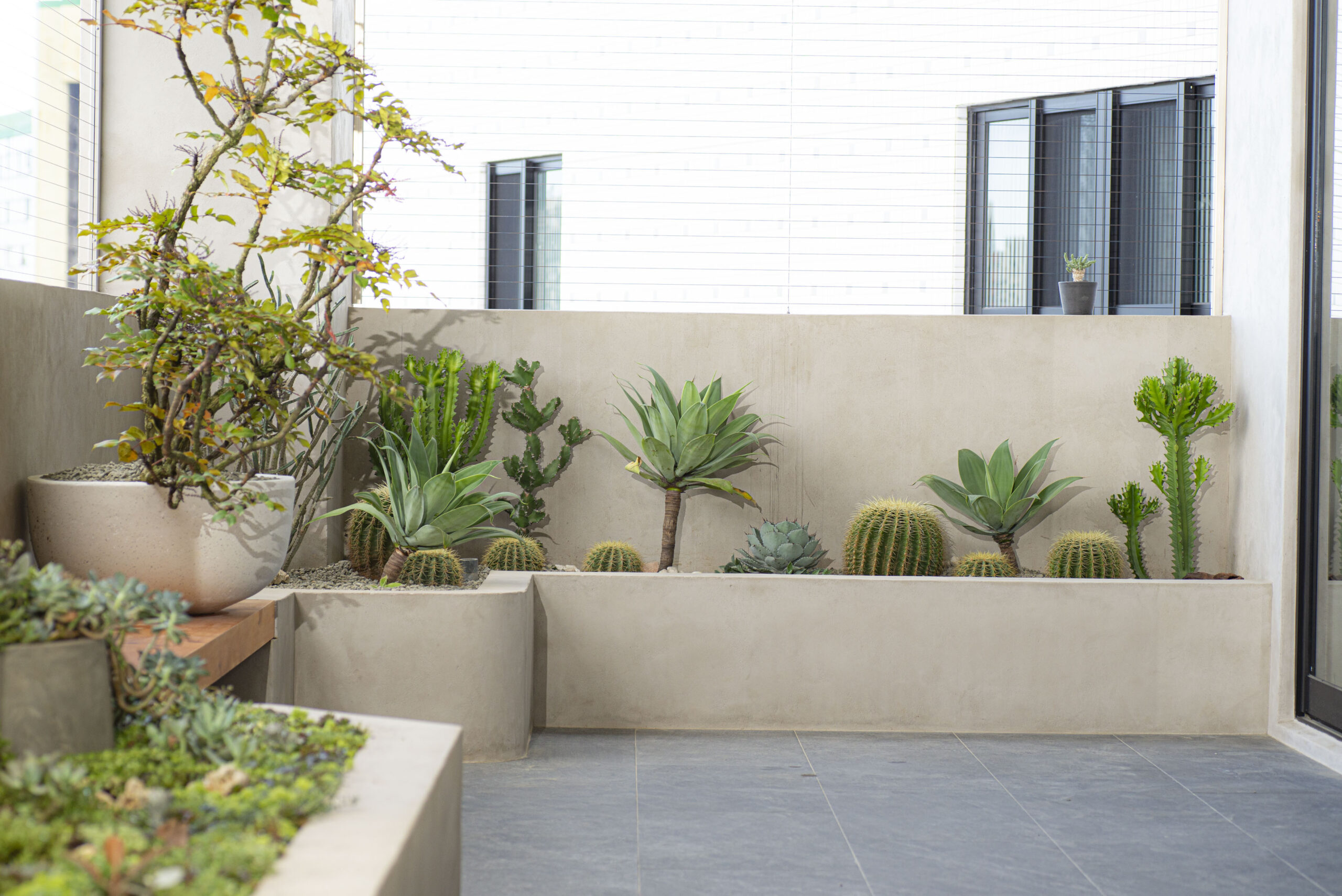 植樹節是什麼?用 2026 年的方法來過節! 1 陽台種樹