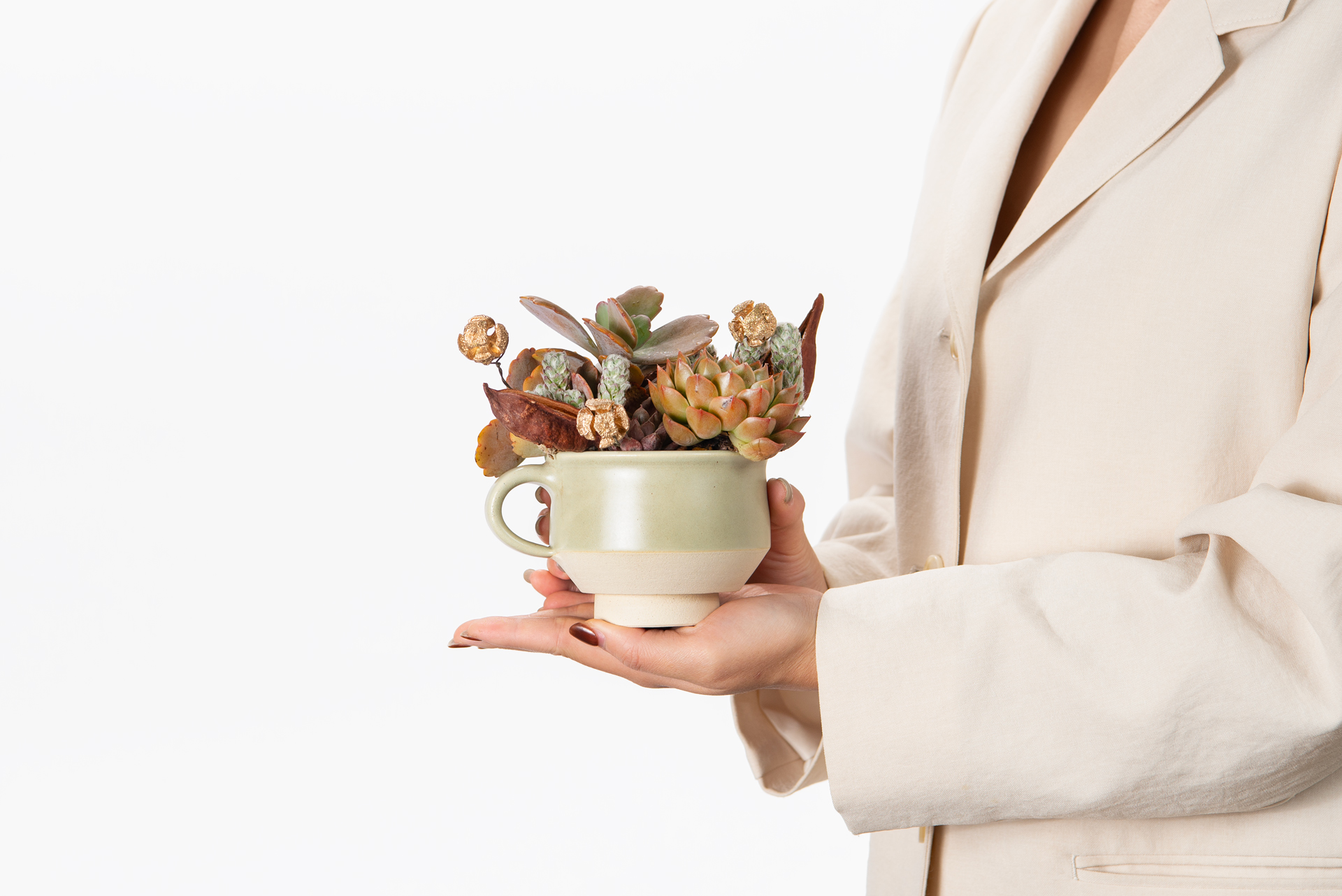 哪裡買陶盆?8 款高品質台灣陶盆!獨立製陶師作品 4 金彩綠韻_陶室_茶歇_手捧盆栽