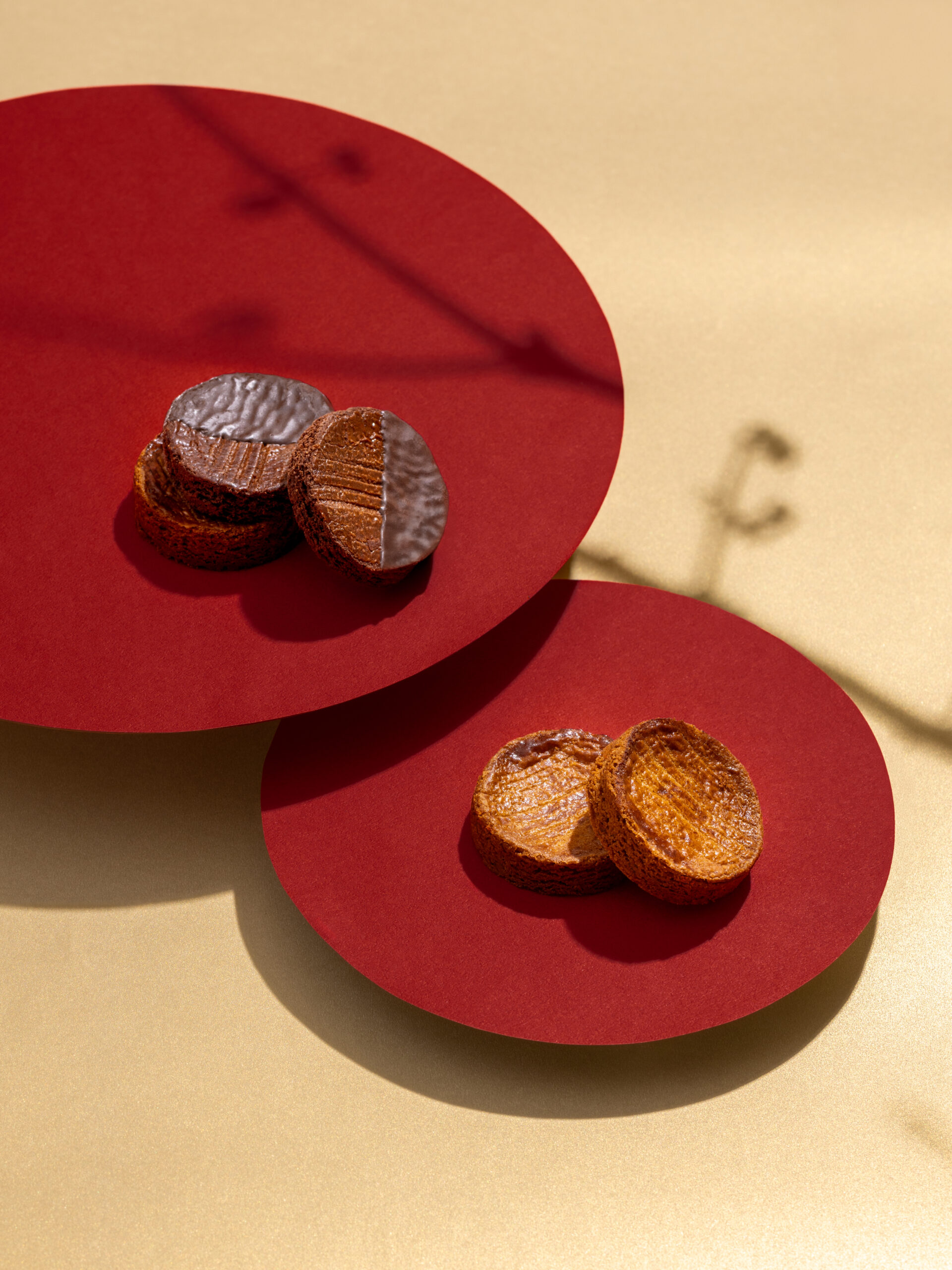 2025 春節禮盒送福蛇!造型植栽滿春意 2 2025 春節禮盒送福蛇!造型植栽滿春意 金蛇年春節禮盒 蛇造型盆栽禮盒_卡柏蒂酥餅_直 scaled